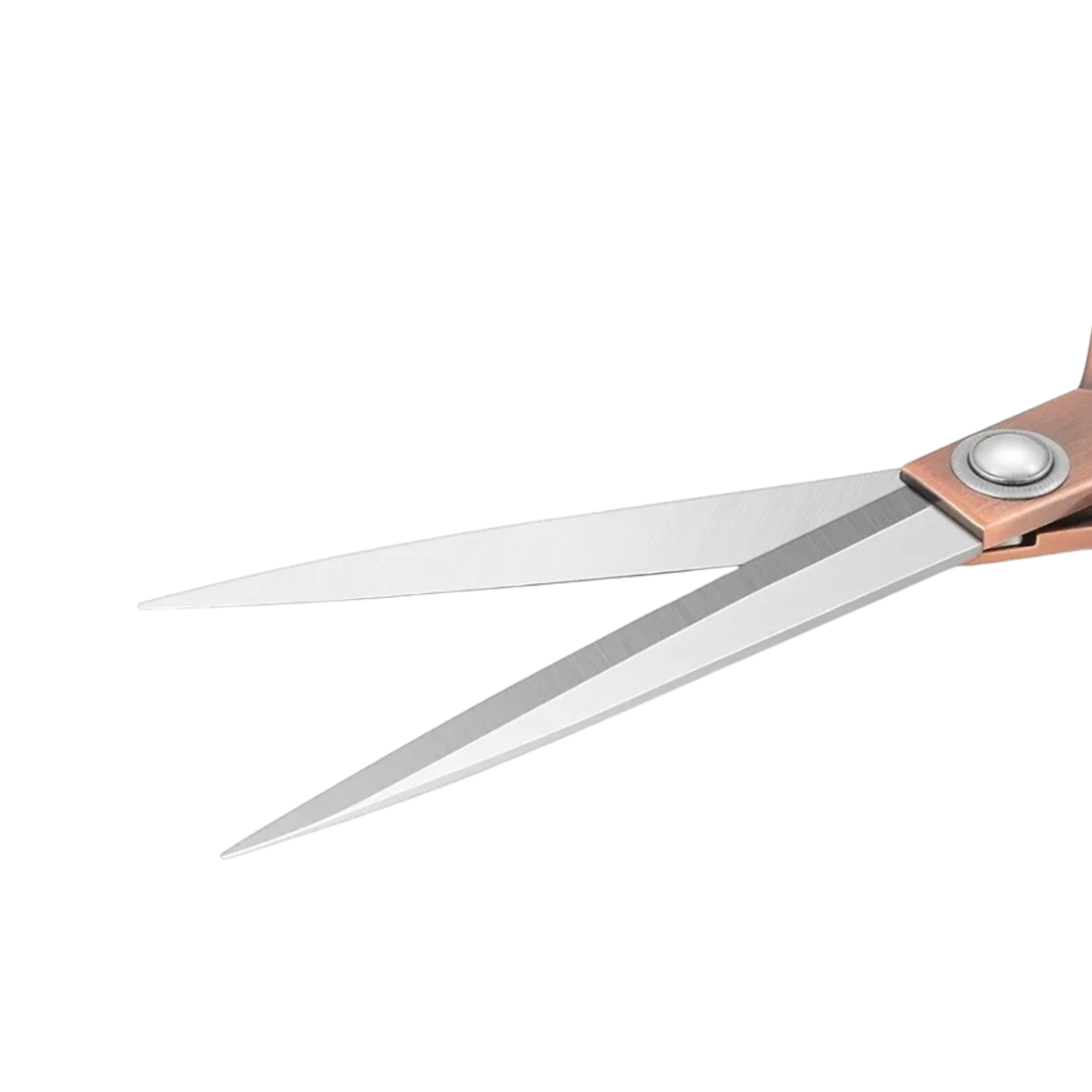 Tout le nécessaire pour donner vie à vos fleurs en papier : une sélection d’accessoires et d’outils de qualité, choisis< pour  vous accompagner dans vos créations florales faites main.