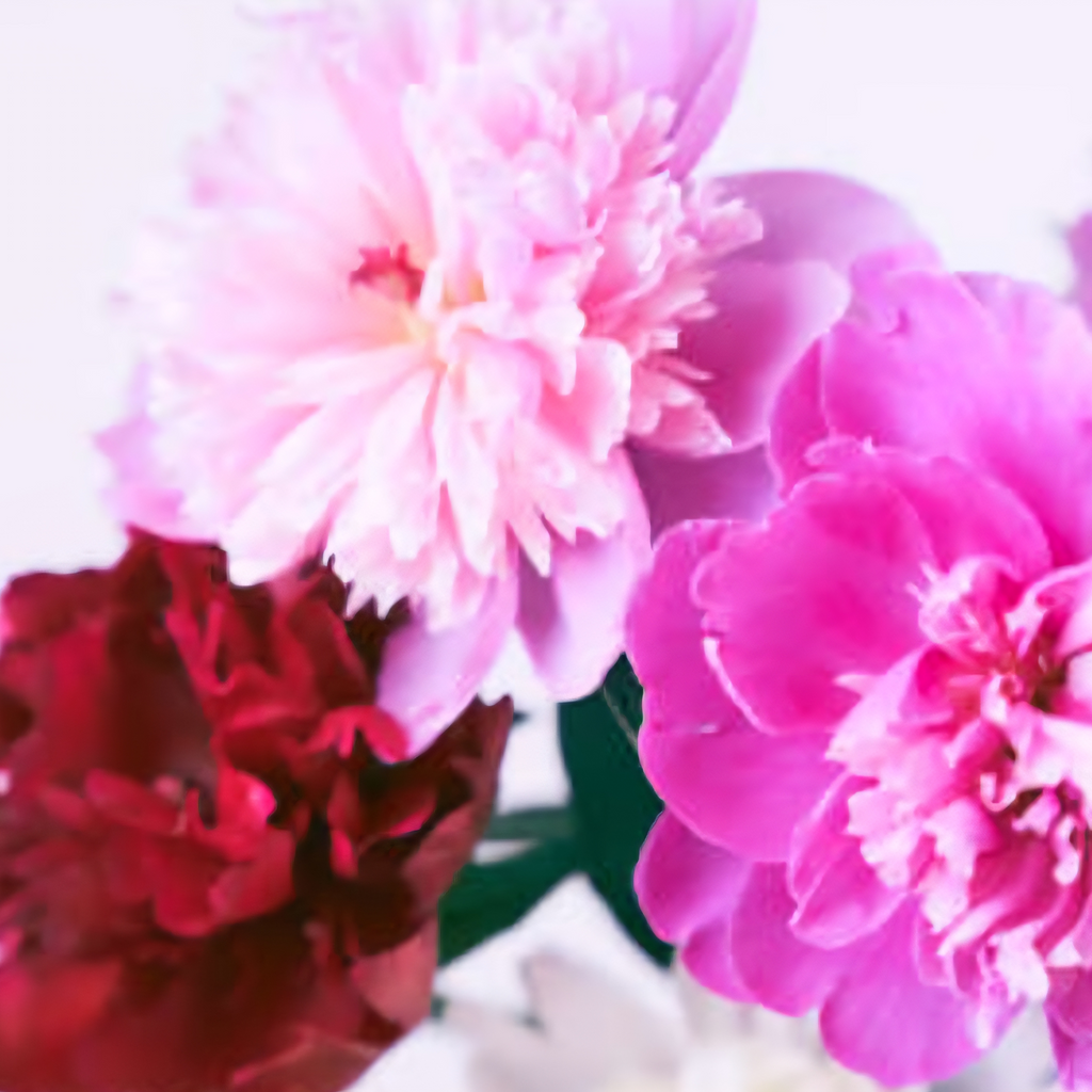 Kit à personnaliser - 3 couleurs au choix - 6 mini rouleaux 25 x 50cm