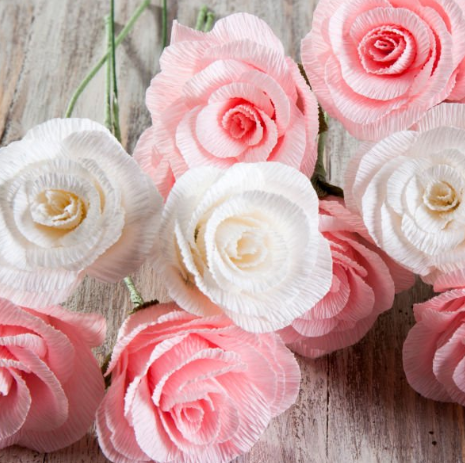 Kit de 5 mini rouleau 25cm x 75cm, dégradé de rose