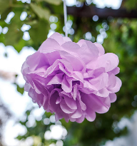 Kit de 5 mini rouleaux 25cm x 75cm de papier crêpé, dégradé violet/lilas