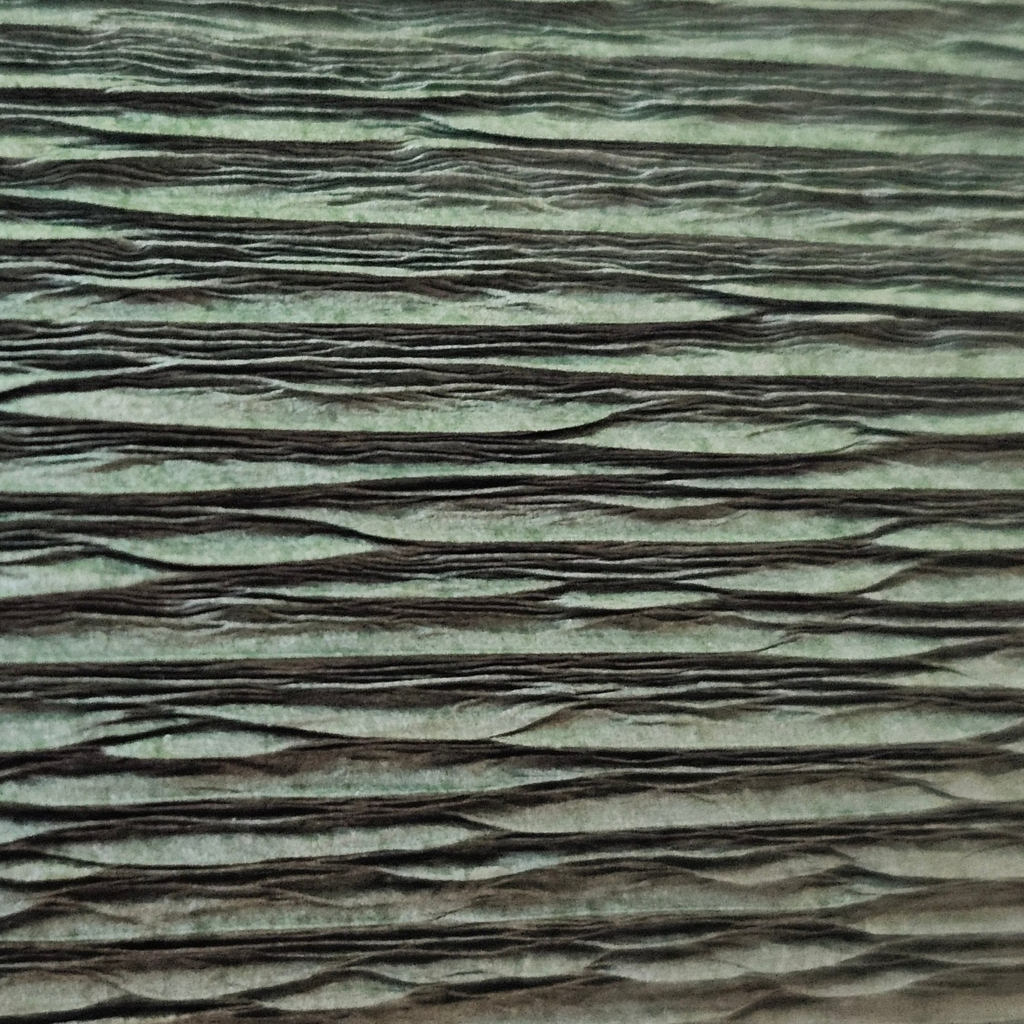 Papier crêpé italien VERT BICOLOR - 562/1 - 140g/m2 Qualité supérieure 180g